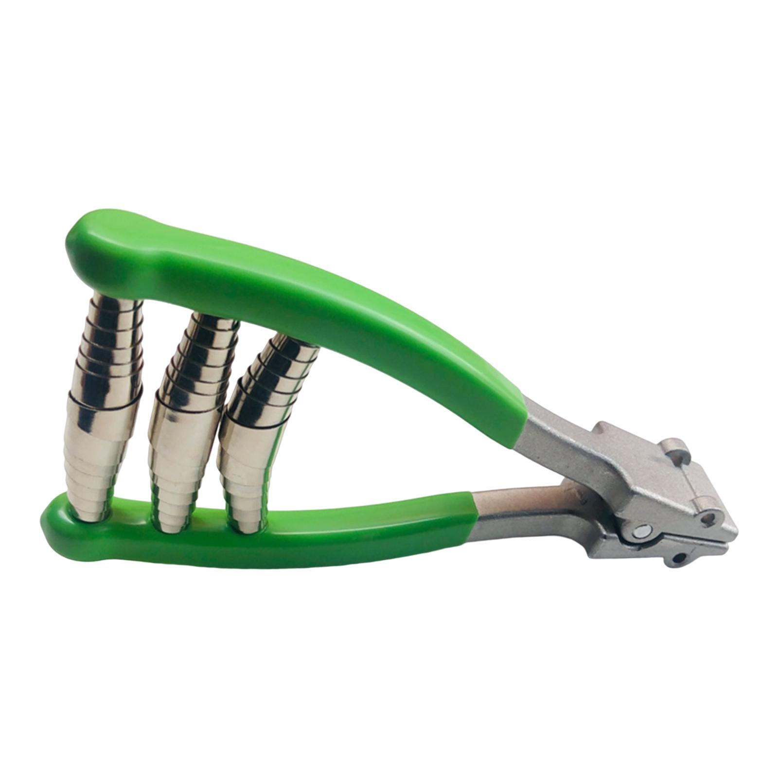 Braçadeira de Início para Espo - Sports Equipment That Starts With A avaliação e preço